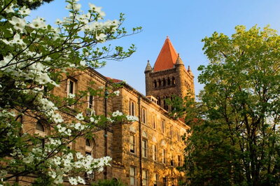 Altgeld