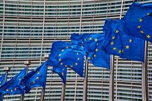 European Union Flags